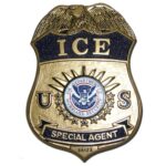 DHS-Ice Badge Plaque – American Plaque Company – Military Plaques ...