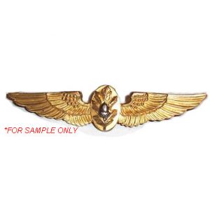 Naval Flight Surgeon Wings