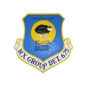 USAF MX Group Det 675 Emblem